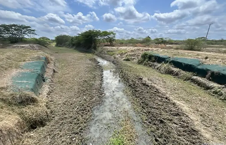 Fenómeno de El Niño disminuye el caudal del río Magdalena y afecta el ingreso de agua a los caños de la Ciénaga Grande en Remolino